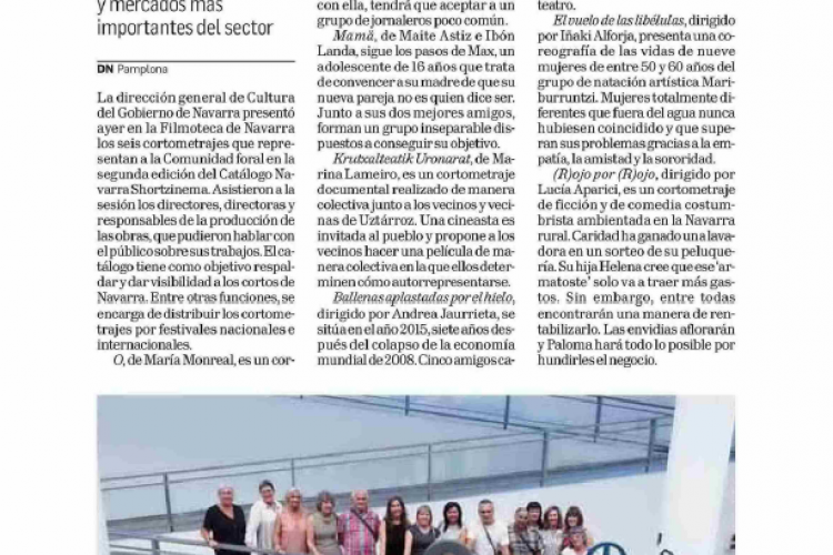 Fotografía del pantallazo de la noticia en la edición impresa del Diario de Navarra