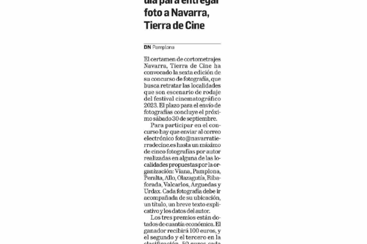 Fotografía del pantallazo de la noticia impresa del Diario de Navarra