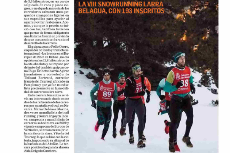Fotografía del pantallazo de la noticia en la edición impresa del Diario de Navarra