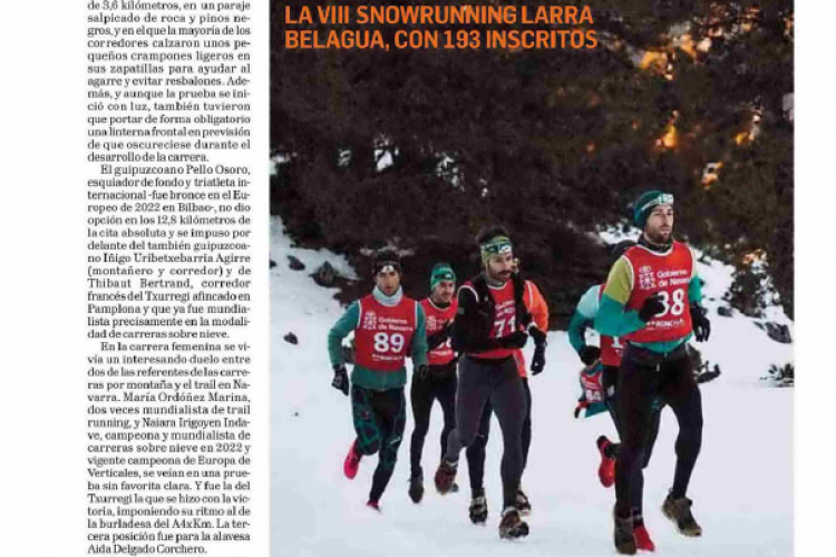 Fotografía del pantallazo de la noticia en la edición impresa del Diario de Navarra