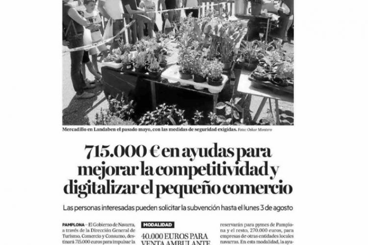 Imagen de la página dedicada por Diario de Noticias a las ayudas a la competitividad, digitalización y emprendimiento