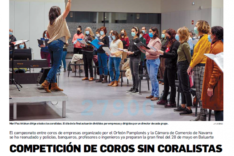 Fotografia de la noticia en la edición impresa del Diario de Navarra