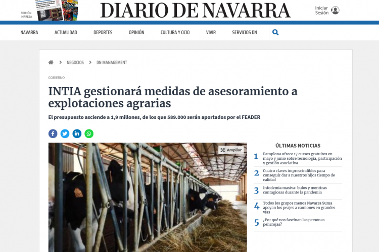 Fotografia del pantallazo de la noticia en la edición online del Diario de Navarra