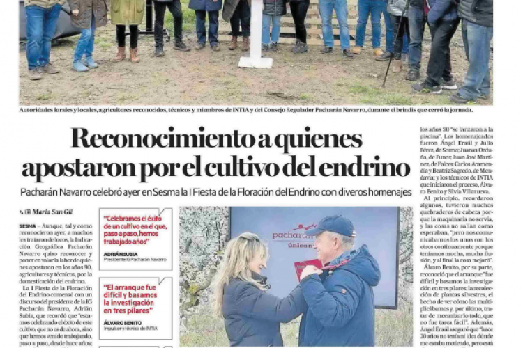 Fotografia del pantallazo de la noticia en la edición impresa del Diario de Noticias