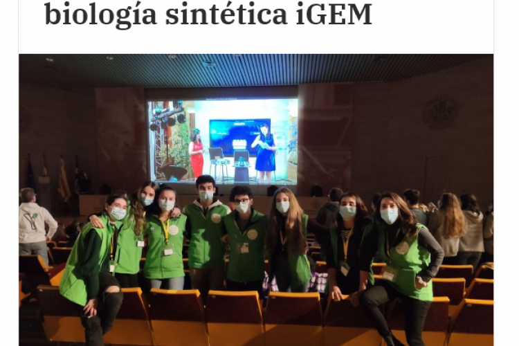 Fotografía del pantallazo de la noticia en la edición online de Pamplona Actual