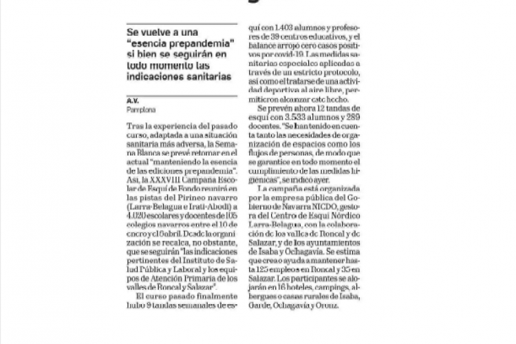 Fotografía del pantallazo de la noticia en la edición impresa del Diario de Navarra