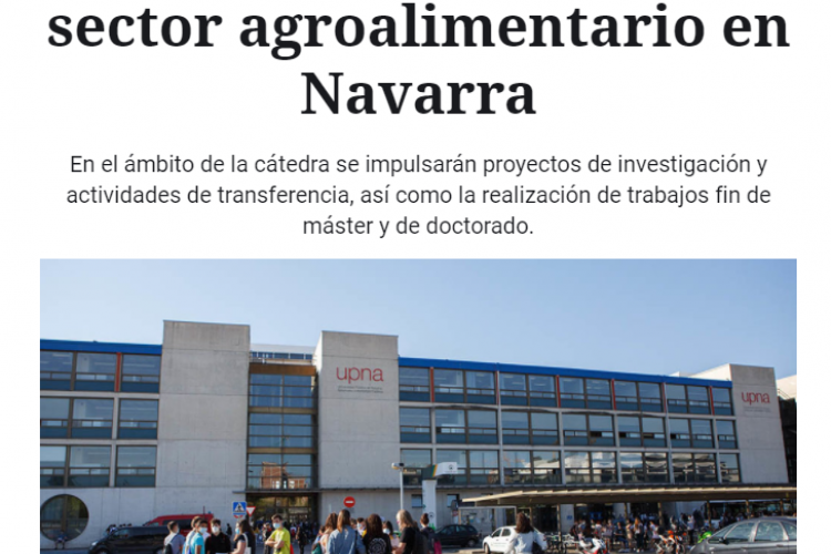 Fotografia del pantallazo de la noticia online de Navarra.com