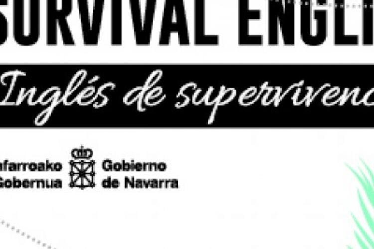 Cartel del curso Survival English