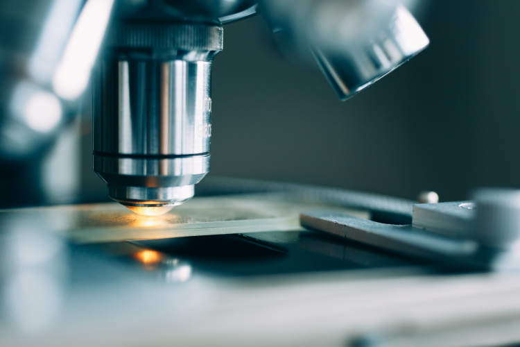 Fotografía de un microscopio