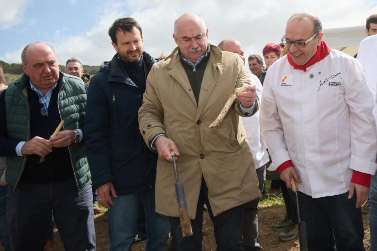 Cuatro personas recolectando un espárrago